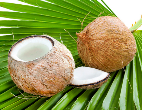 coconut