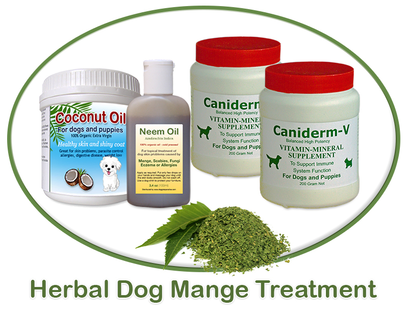 Natural treatment for mange in dogs