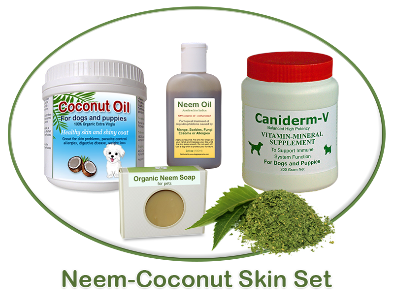 neem coconut skin treatment for dogs