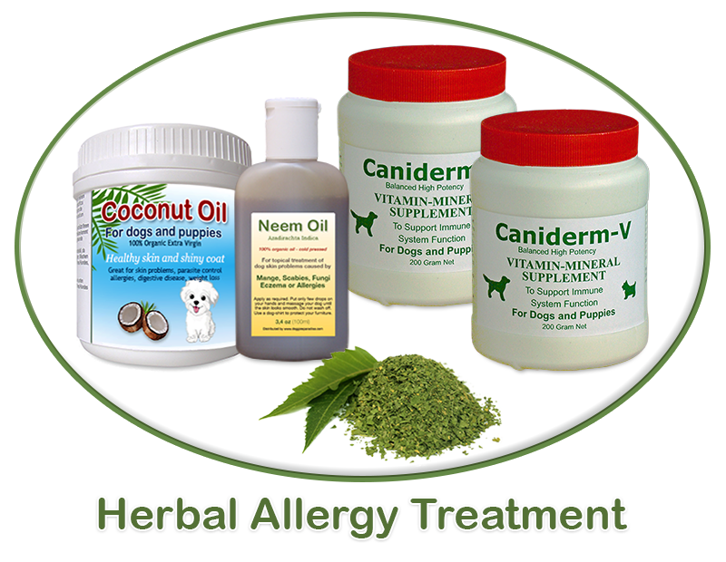allergy treatment for dogs
