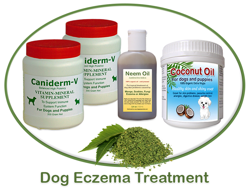 dog eczema treatment